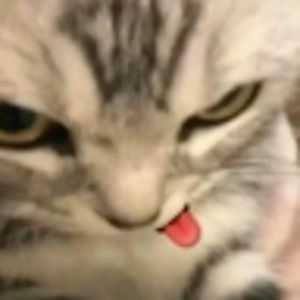 Meet your Posher, Edward